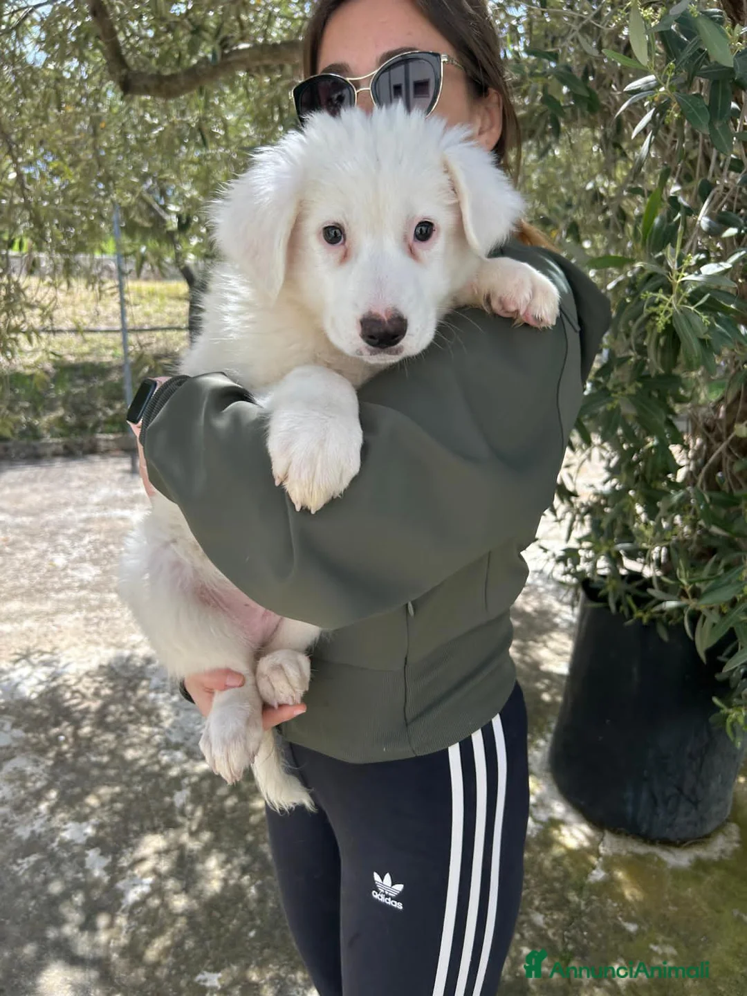 Meticcio cani in regalo: kenia e zora - Annuncio 4
