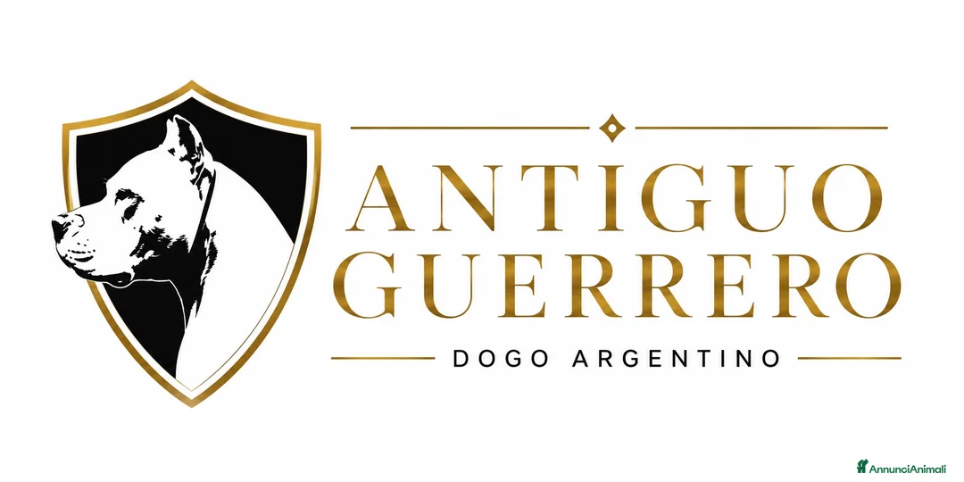 Dogo Argentino cani in vendita: CUCCIOLI DOGO ARGENTINO a Provincia di Verona - Annuncio 7
