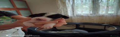 Jack Russell 1