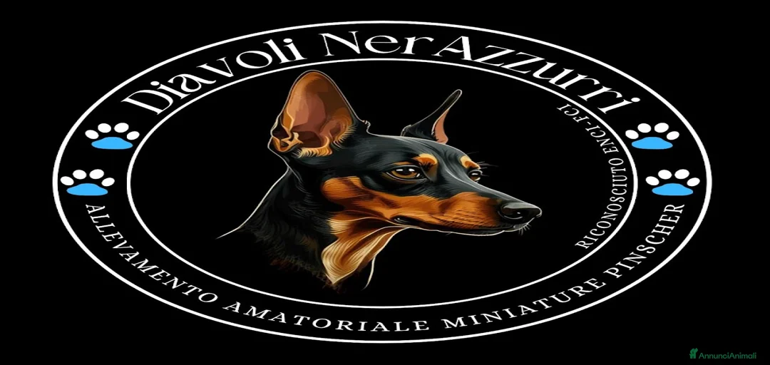 Immagine della galleria {{count}}