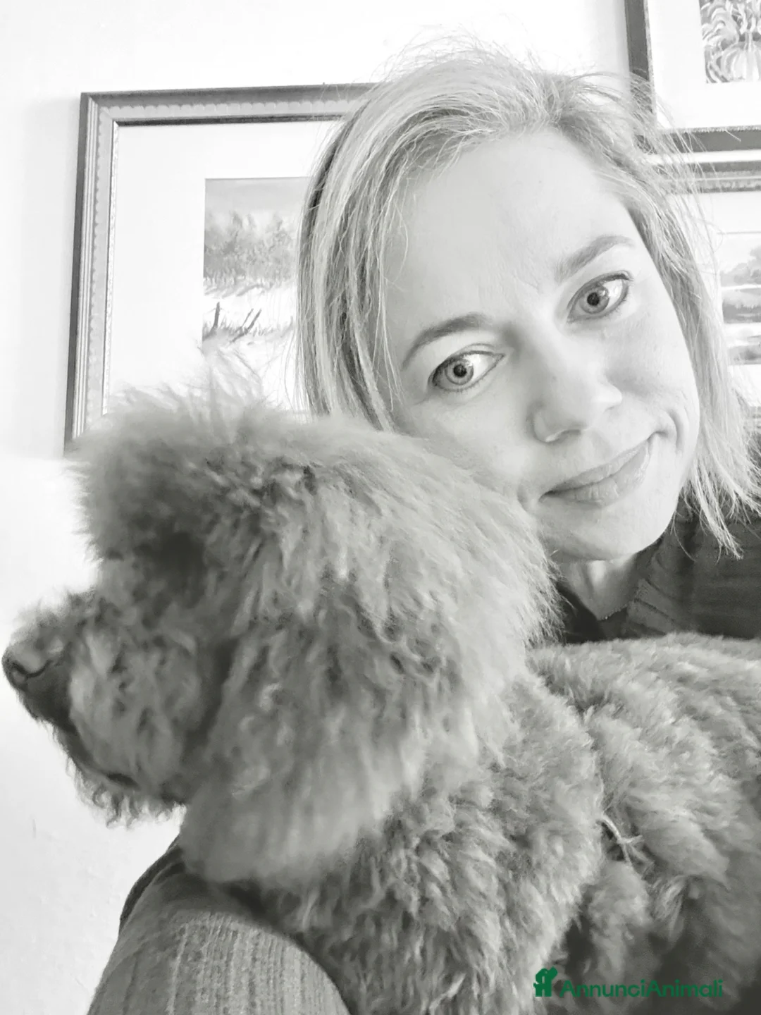 Immagine della galleria {{count}}