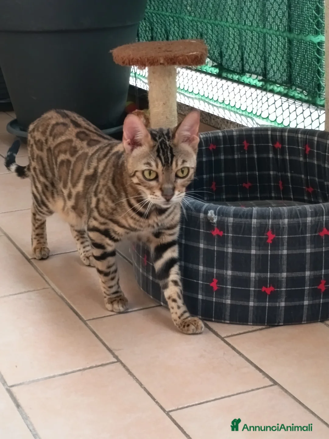 Immagine della galleria {{count}}