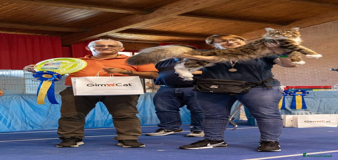 Immagine della galleria {{count}}