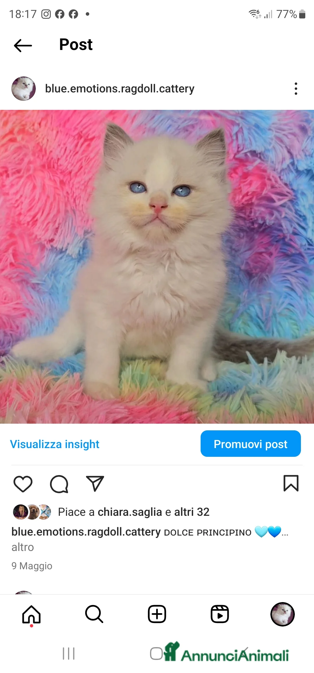 Immagine della galleria {{count}}