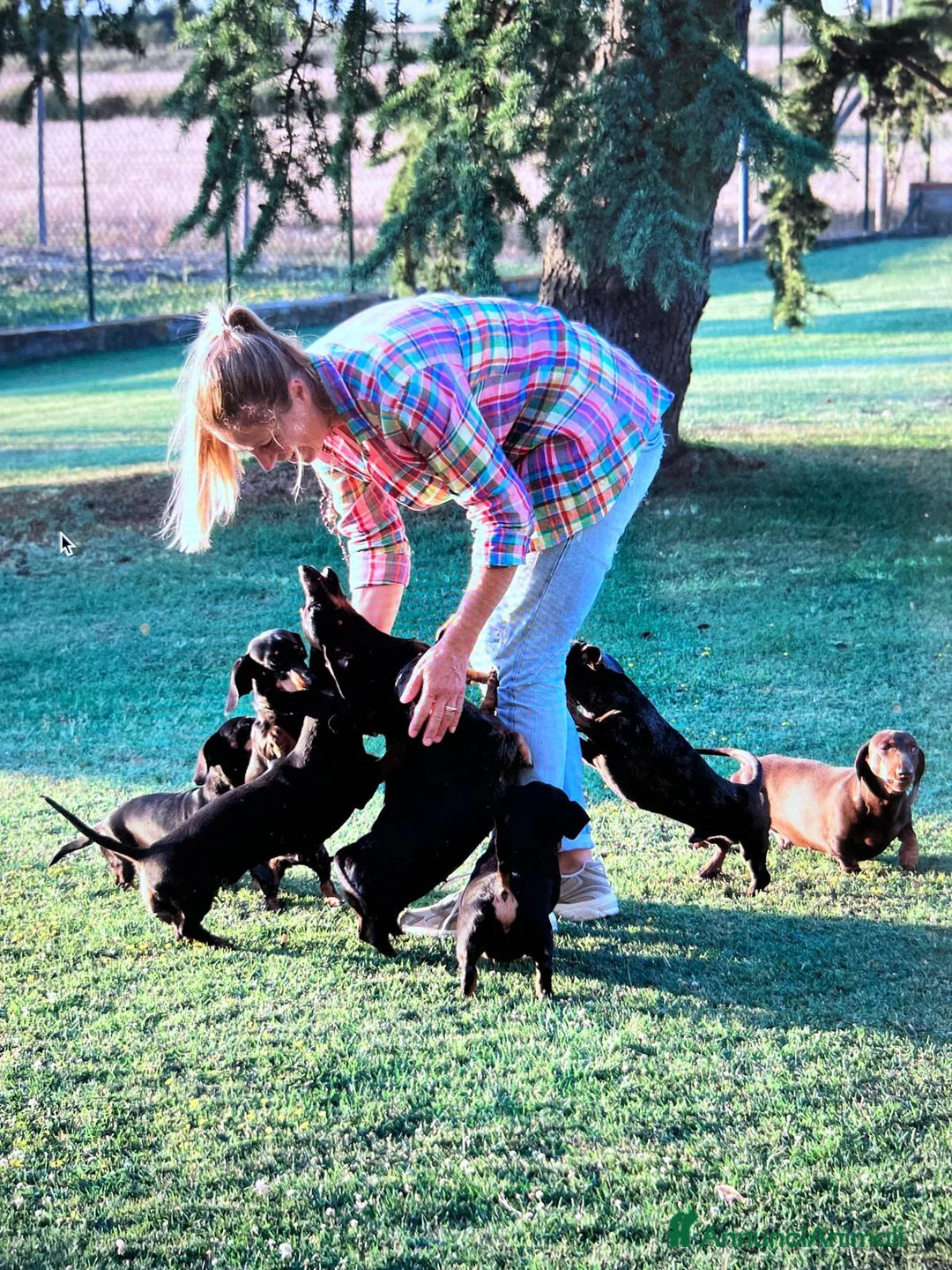 Immagine della galleria {{count}}