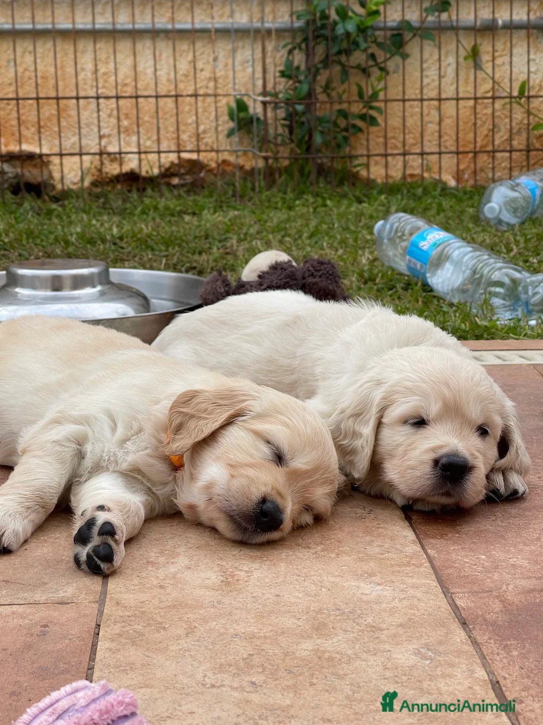 Immagine della galleria {{count}}