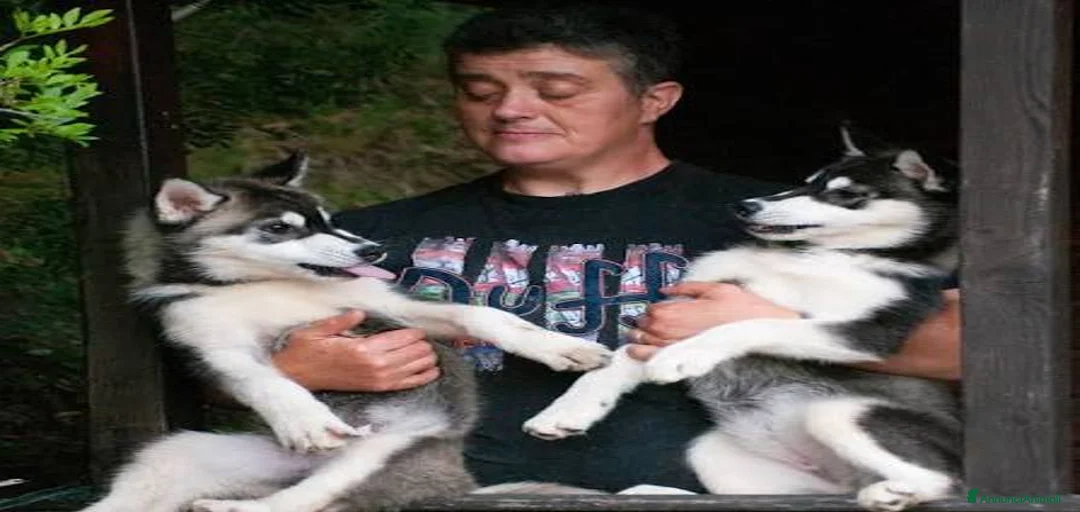 Immagine della galleria {{count}}