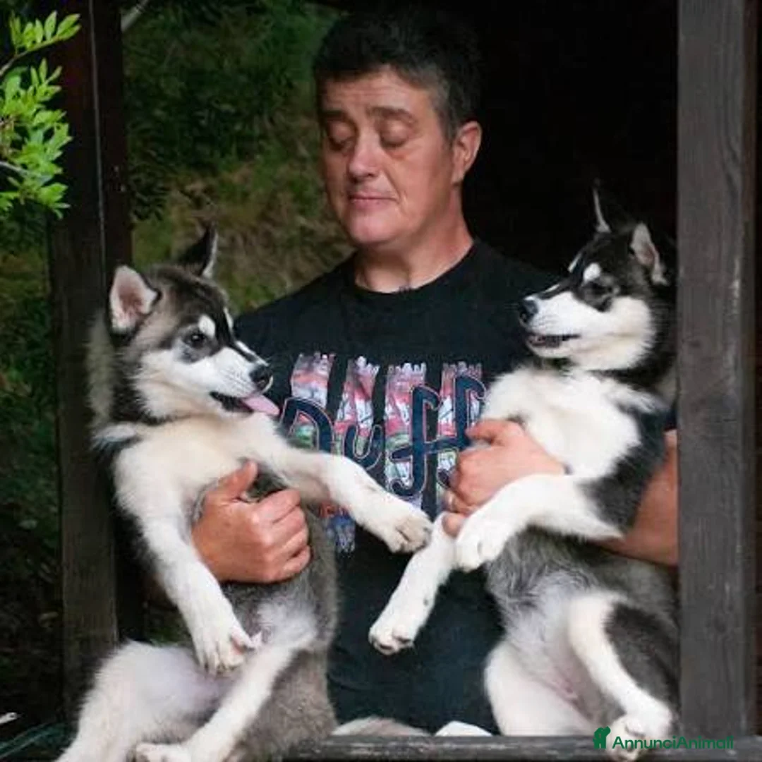 Immagine della galleria {{count}}