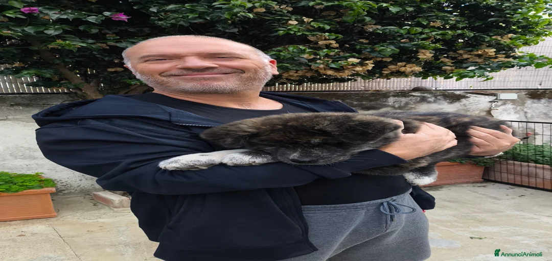 Immagine della galleria {{count}}