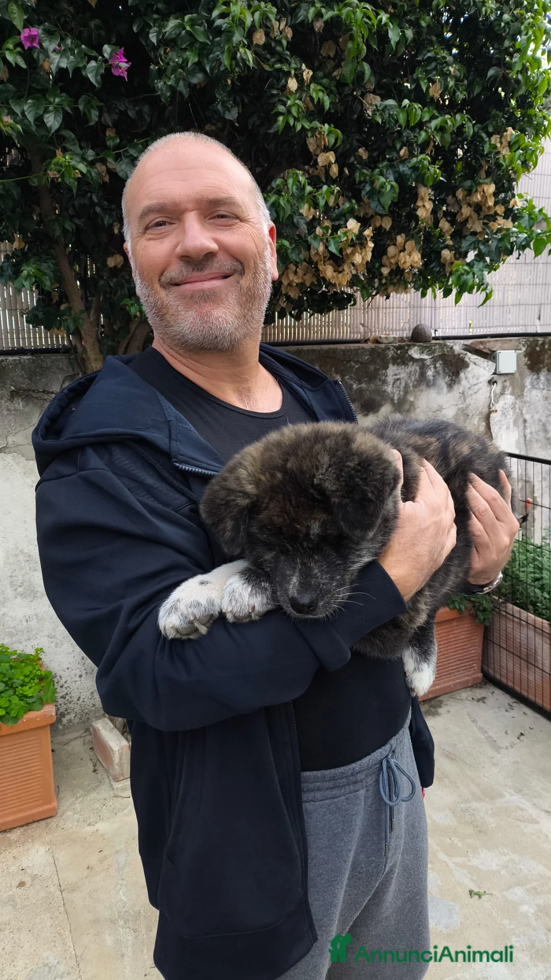 Immagine della galleria {{count}}