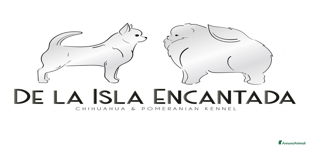 Immagine della galleria {{count}}