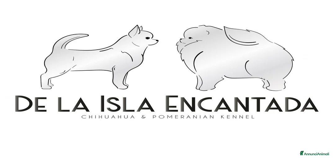 Immagine della galleria {{count}}