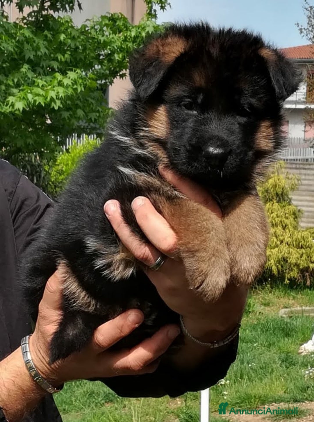 Immagine della galleria {{count}}