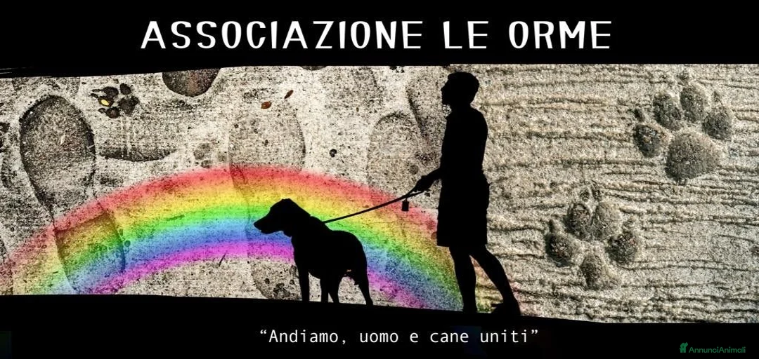 Immagine della galleria {{count}}