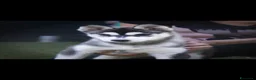 Husky cani in vendita: Siberian husky cuccioli con pedigree enci  a Provincia di Reggio Emilia - Annuncio 5