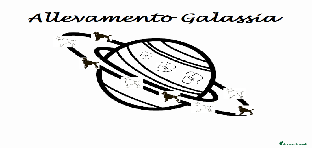 Immagine della galleria {{count}}