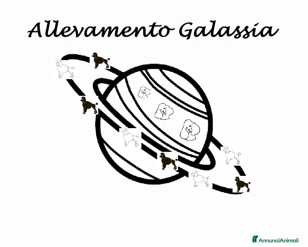 Immagine della galleria {{count}}