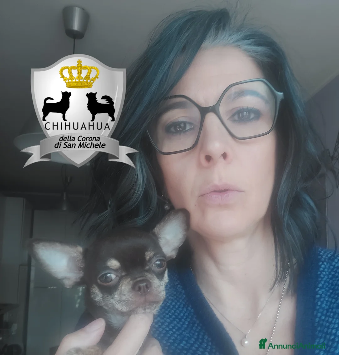 Immagine della galleria {{count}}