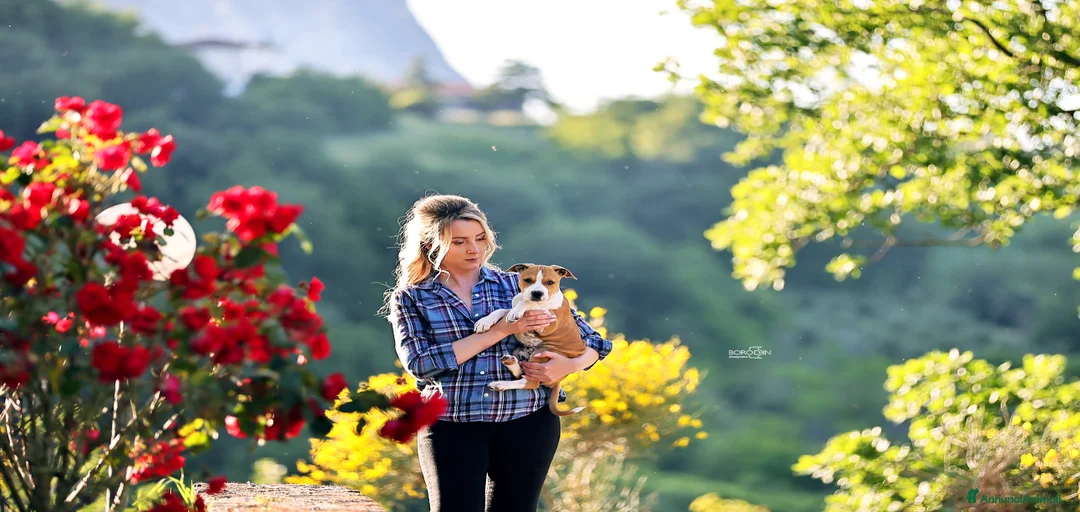 Immagine della galleria {{count}}