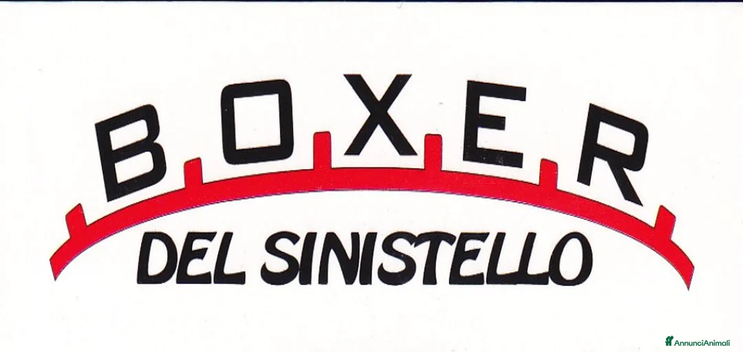 Immagine della galleria {{count}}