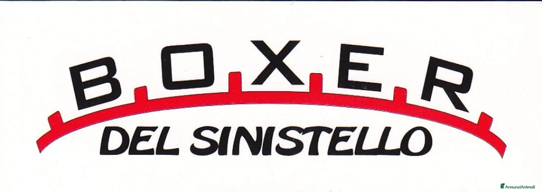 Immagine della galleria {{count}}