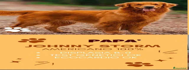 Jhonny 