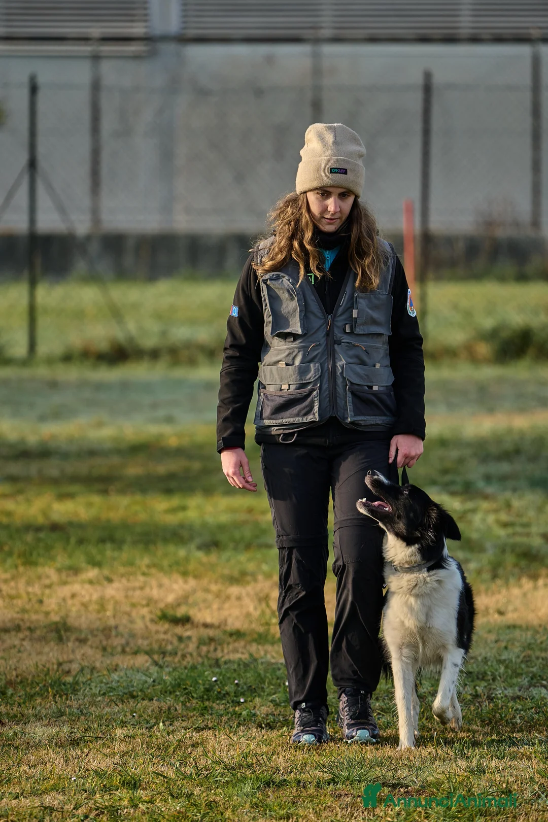 Border Collie cani per accoppiamento: Yuma cerca un fidanzato - Annuncio 5
