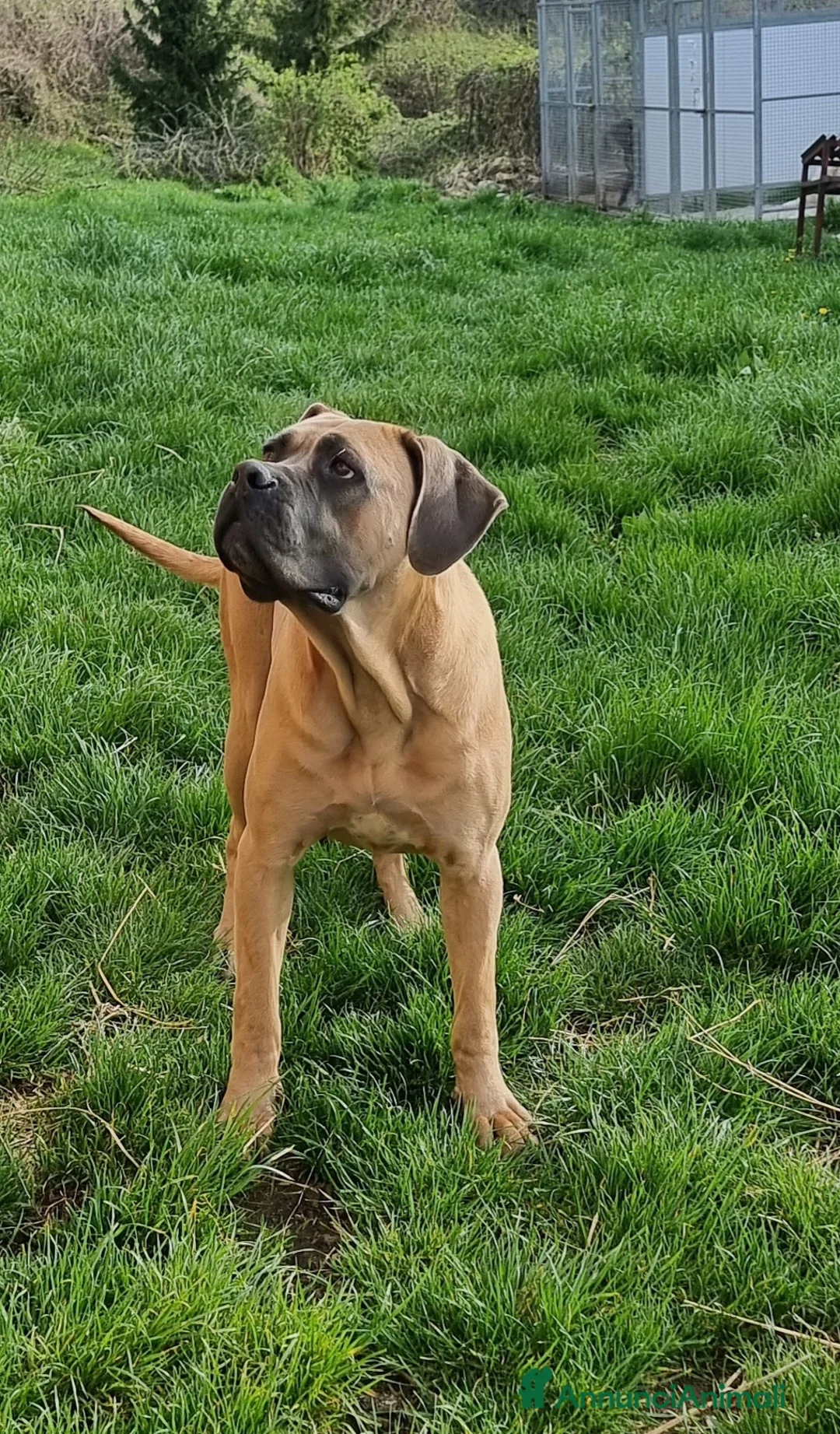 Immagine della galleria {{count}}