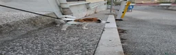 Jack Russell cani in vendita: SPLENDIDO MASCHIO JACK RUSSELL TERRIER VENDESI a Provincia di Campobasso - Annuncio 5