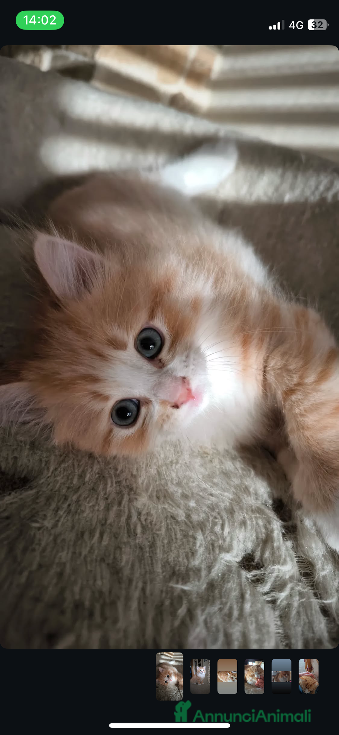 Immagine della galleria {{count}}