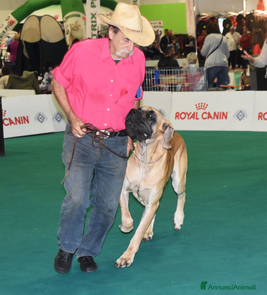 Immagine della galleria {{count}}