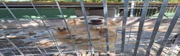 Meticcio cani in regalo: Cremino 13 anni - Annuncio 1