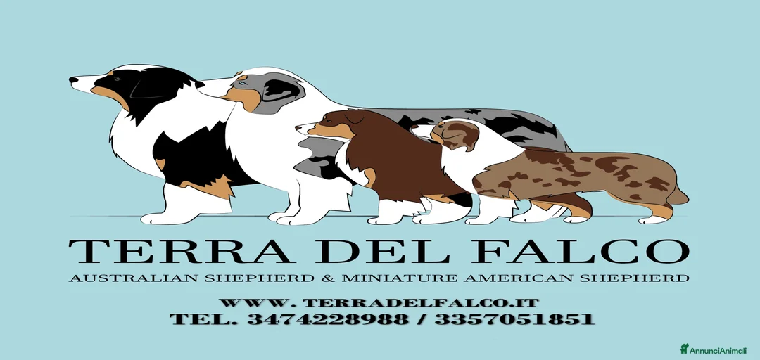 Immagine della galleria {{count}}