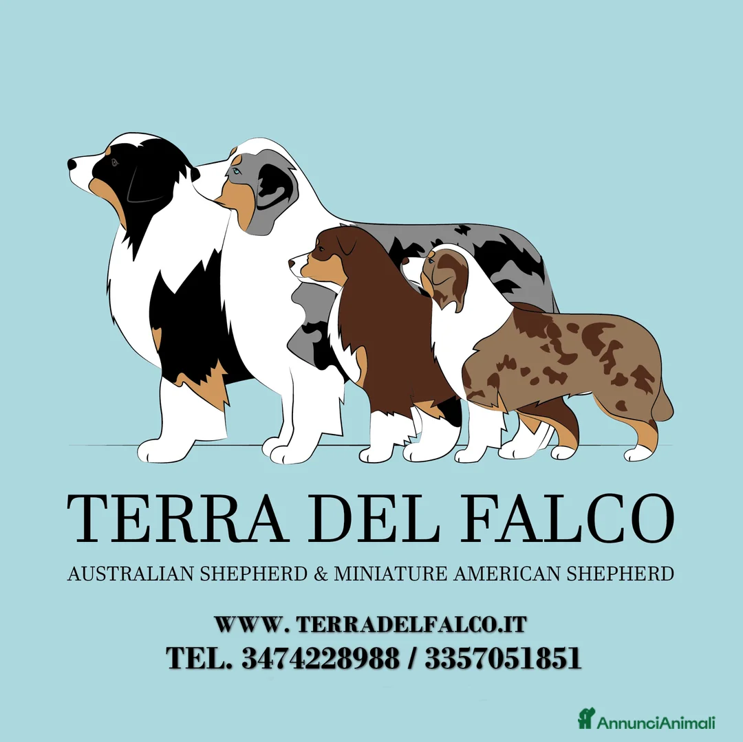 Immagine della galleria {{count}}