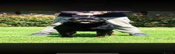 Rottweiler cani in vendita: Cuccioli di Rottwelier con pedigree  - Annuncio 8