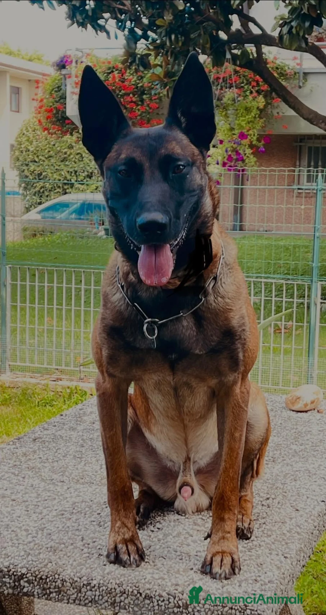 Immagine della galleria {{count}}