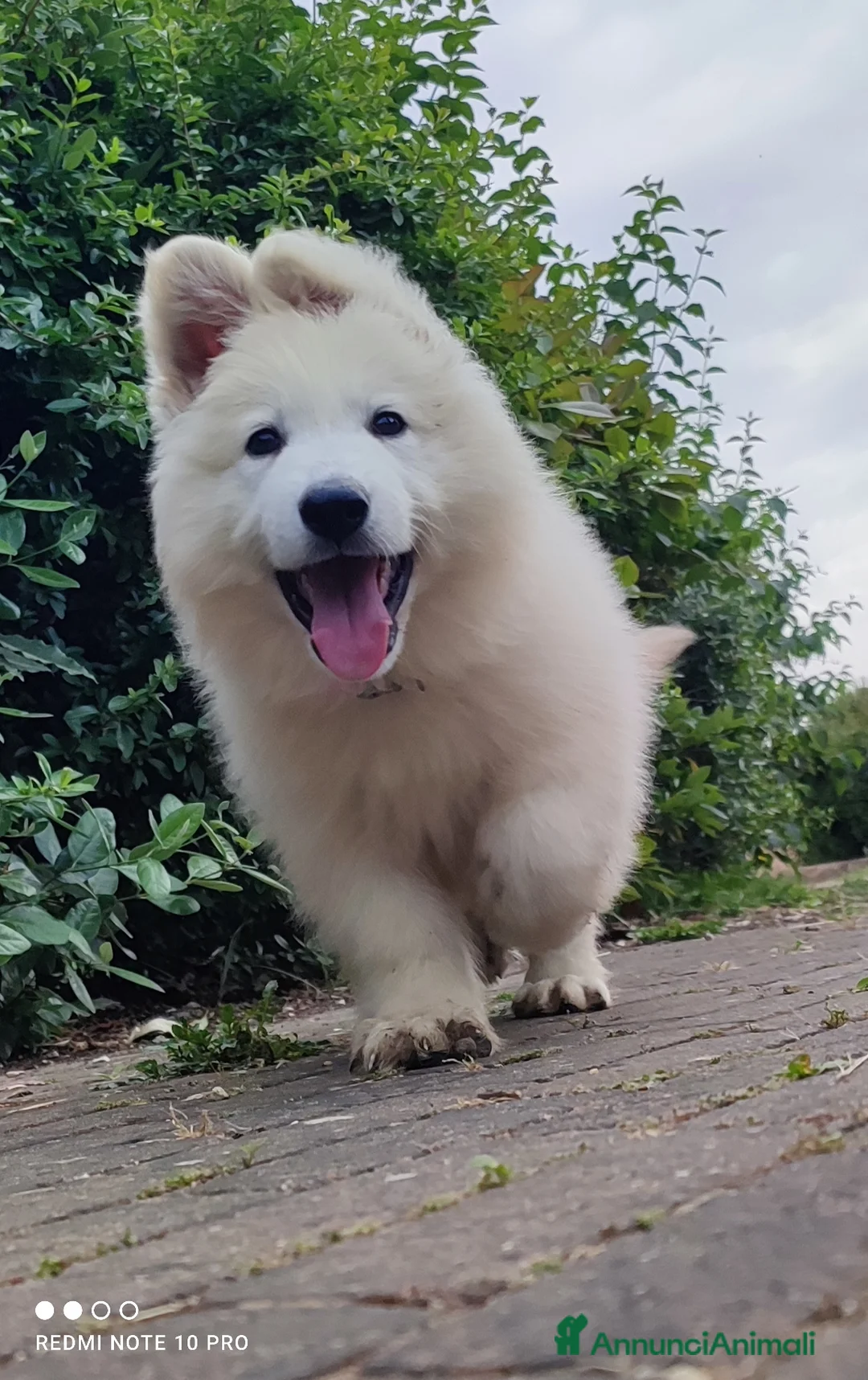 Immagine della galleria {{count}}