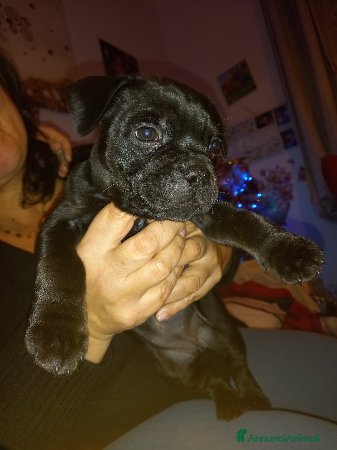 Immagine della galleria {{count}}