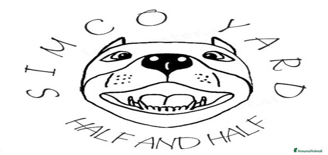 Immagine della galleria {{count}}