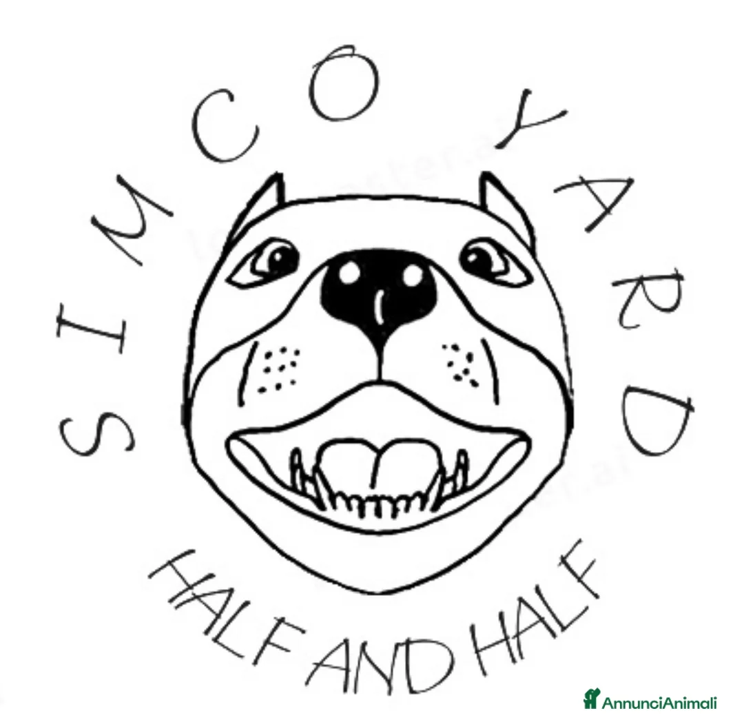 Immagine della galleria {{count}}