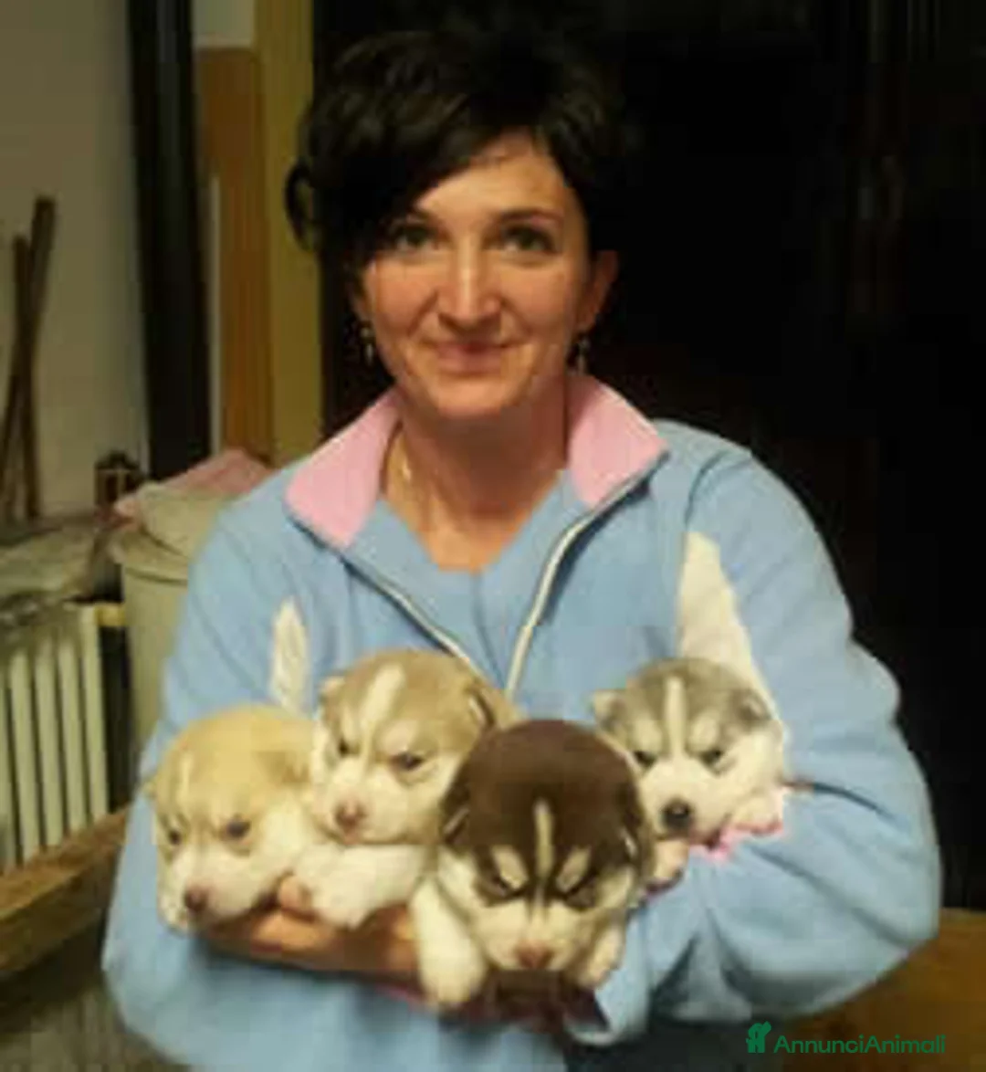 Immagine della galleria {{count}}