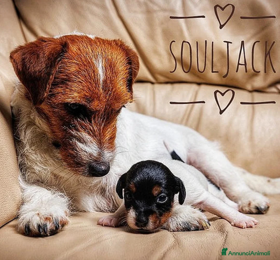 Immagine della galleria {{count}}