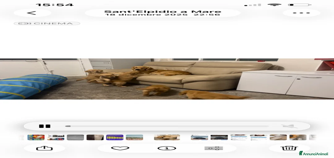 Immagine della galleria {{count}}