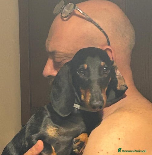 Immagine della galleria {{count}}