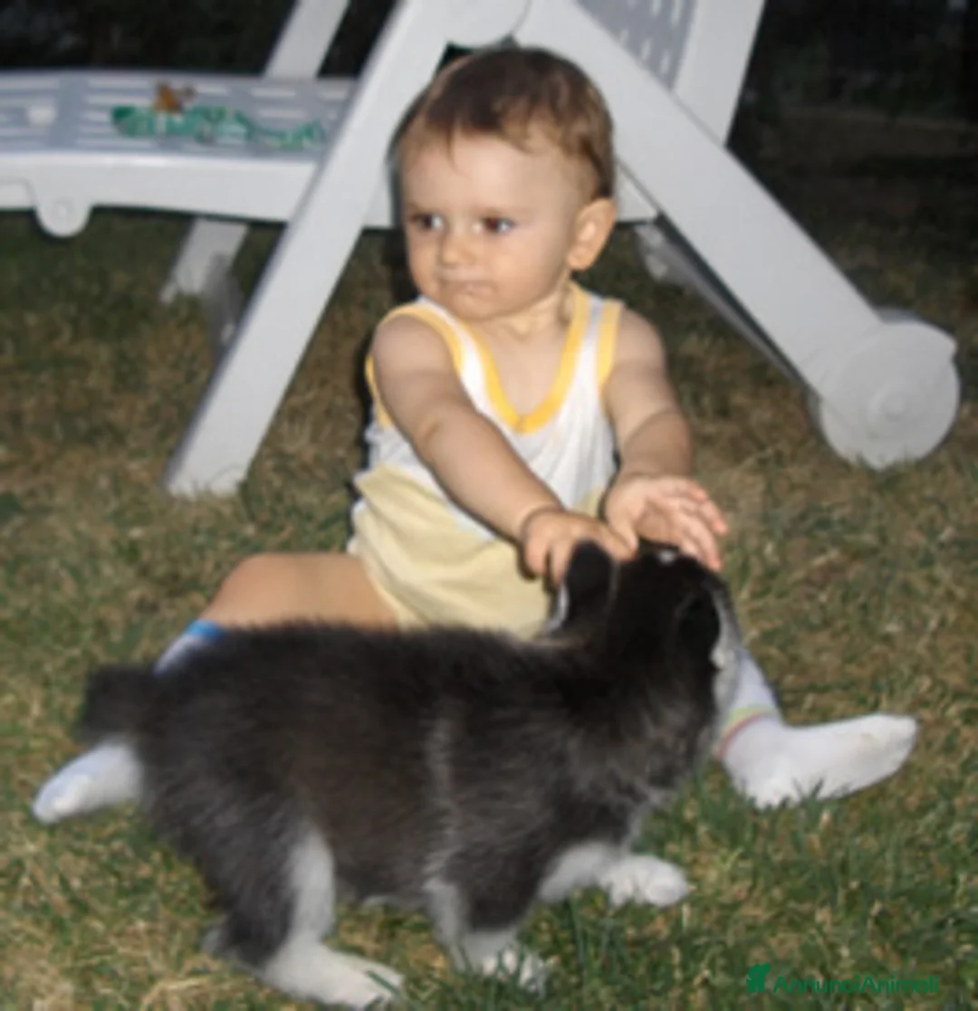 Immagine della galleria {{count}}