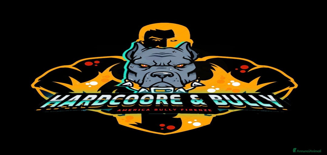 Immagine della galleria {{count}}