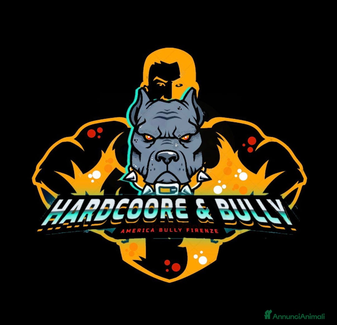 Immagine della galleria {{count}}