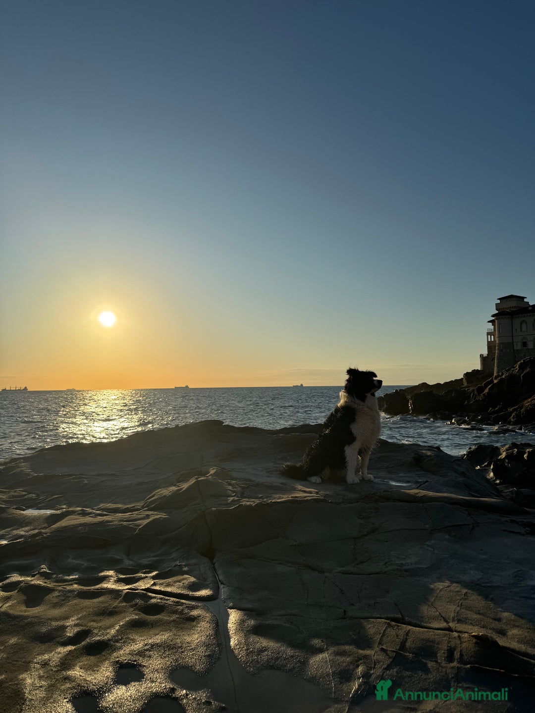 Immagine della galleria {{count}}