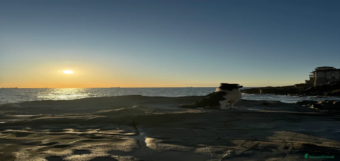 Immagine della galleria {{count}}