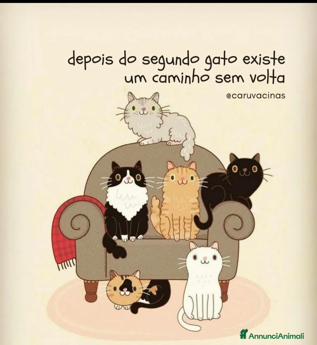 Immagine della galleria {{count}}